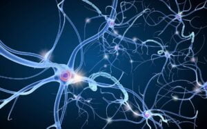 premier neurone artificiel