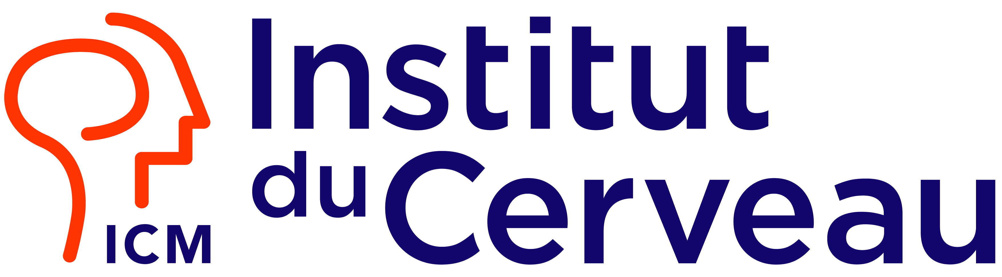 Accueil 10 Logo Institut Cerveau 2020